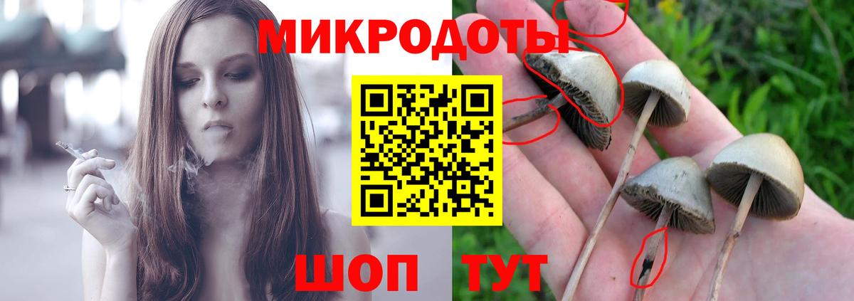 сколько стоит  Вход с VPN  Галлюциногенные грибы ЛСД  Чистополь  Галлюциногенные грибы MAGIC MUSHROOMS 